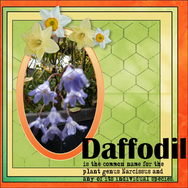 March 2018-Dafofodils