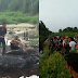 Diduga Diterkam Buaya, Petani Di Rohil Ditemukan Warga Sudah Tidak Bernyawa