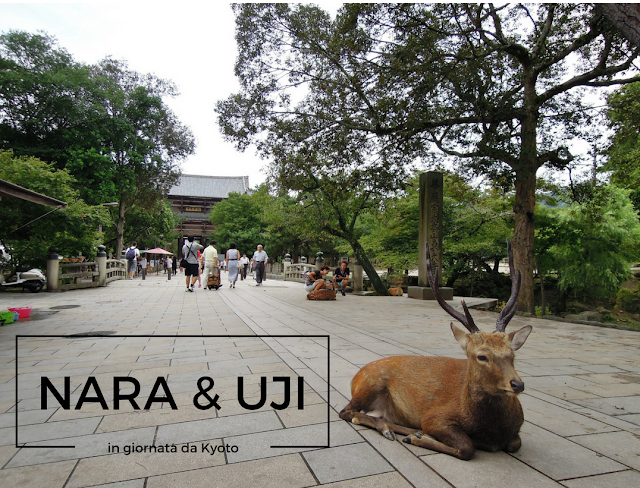 Visitare Nara e Uji in giornata da Kyoto