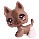 Littlest Pet Shop Get Better Center Generation 2 Pets Pets