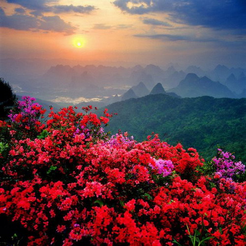 อัลบั้ม 92+ ภาพพื้นหลัง ภาพวิวธรรมชาติสวยๆ ความละเอียด 2k, 4k