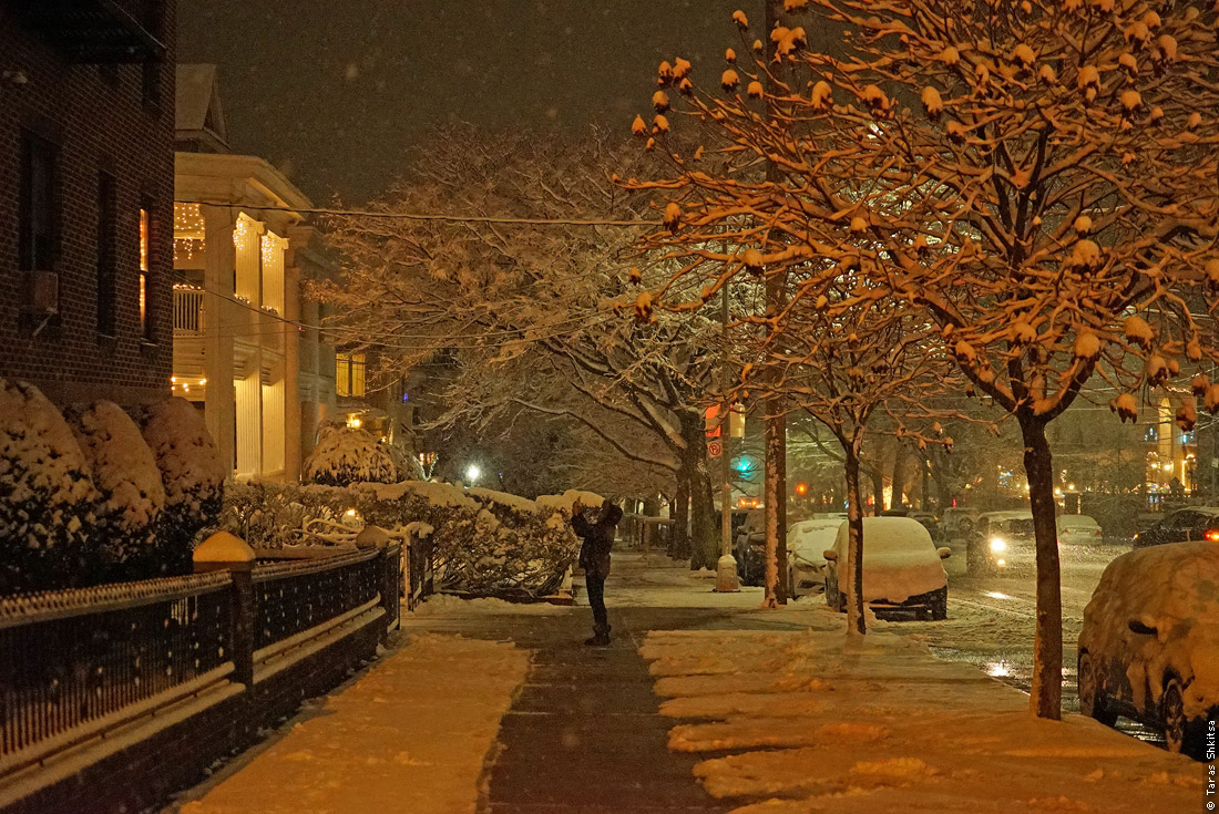 Bay Ridge. Brooklyn. Evening, winter