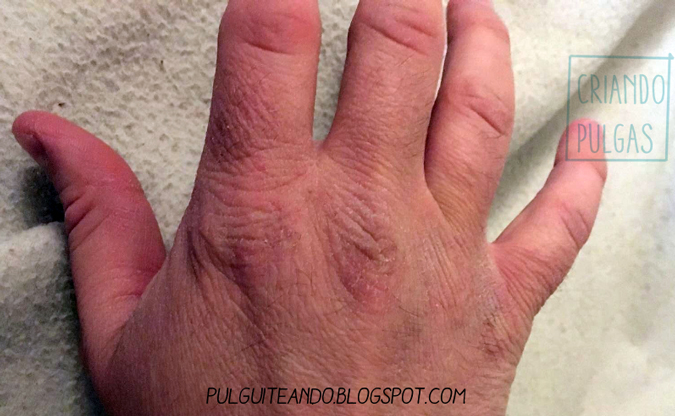 Sello de calidad #mamásmarykay