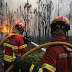 Portugal awaits foreign help to fight deadly wildfires