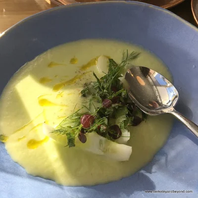 cucumber gazpacho at Limewood Bar & Restaurant at the Claremont Club & Spa, a Fairmont Hotel in Berkeley, California