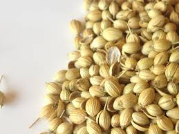 coriander seeds(sabit dhanya) health benefits in urdu