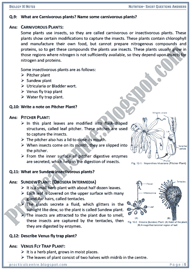 nutrition-short-questions-answers-biology-xi