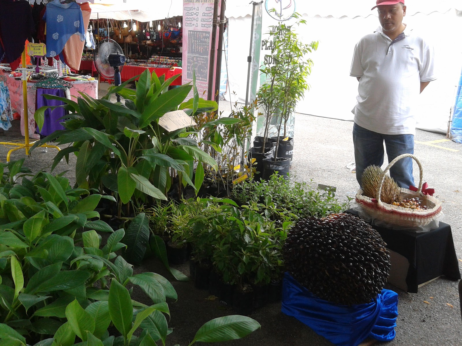 JOHOR PLANT TECH SDN BHD AKTIVITI SYARIKAT