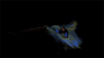 bioluminescence surf
