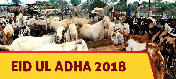 When is Eid al Adha 2018? - Learn About Islam  Ajmer 