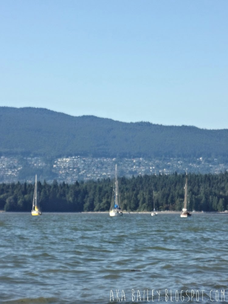 3 sailboats