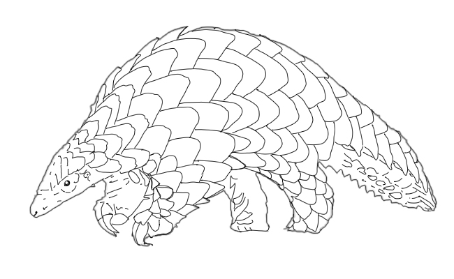 LinsArt: Pangolin