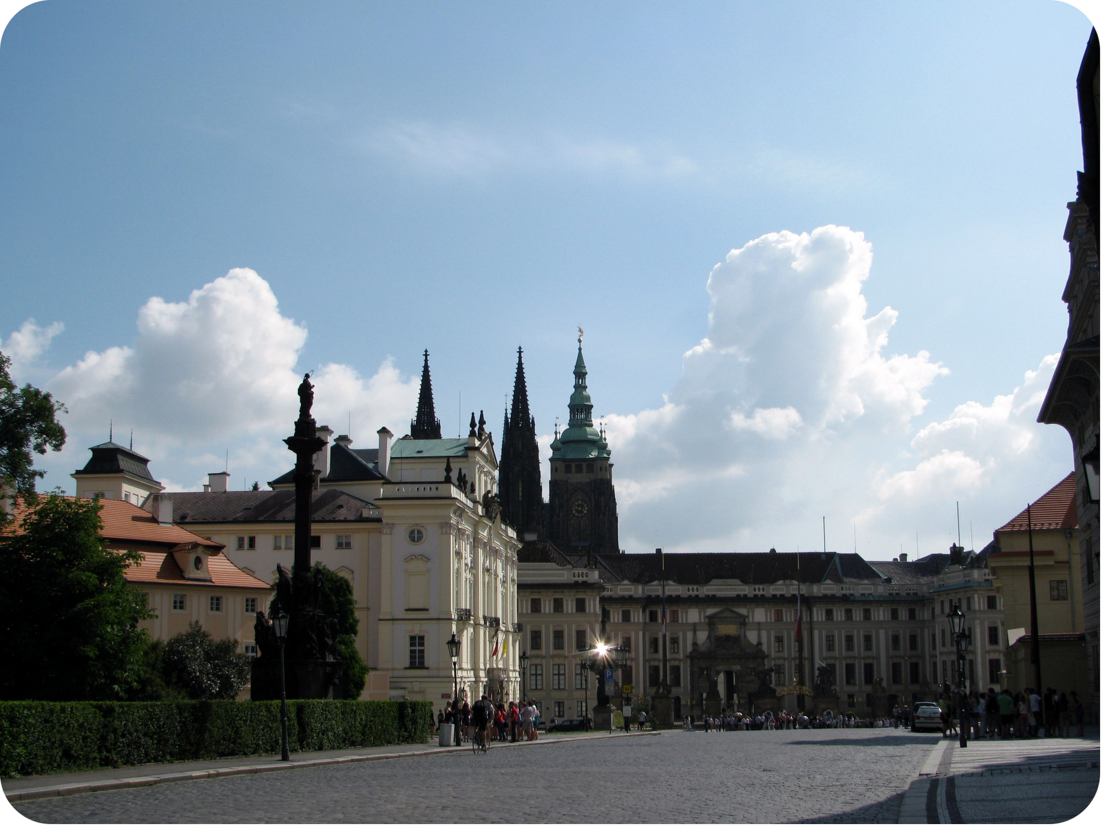 drzewo-rzeczy-czechy-praga