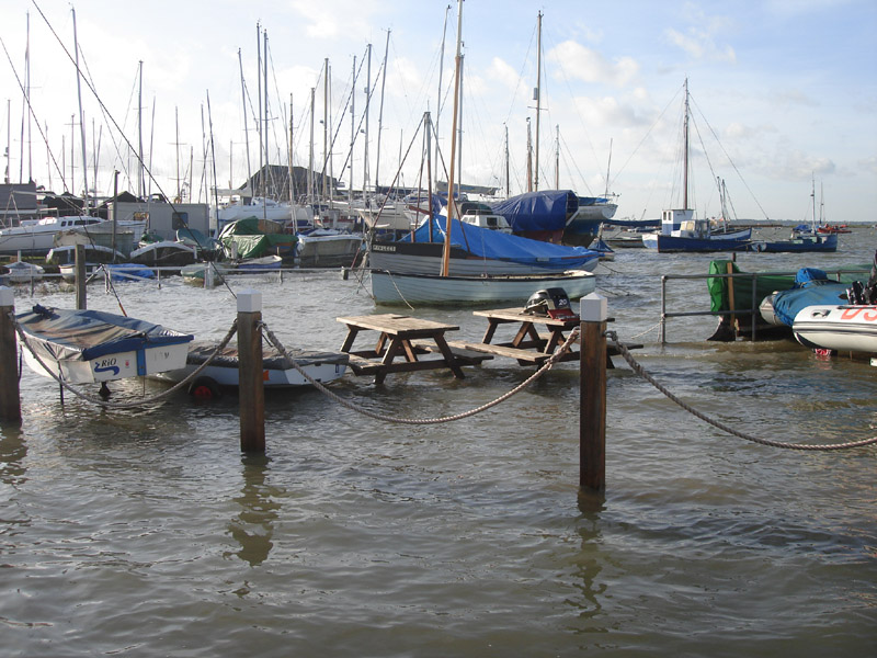 MERSEA WILDLIFE HIGH TIDE TROUBLES