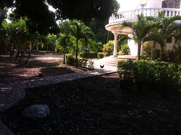 Maison et terrain à vendre et à louer en haiti maison à louer à tabarre