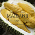 Agen Daging Durian Medan yang Tiada Duanya di Kotamobagu