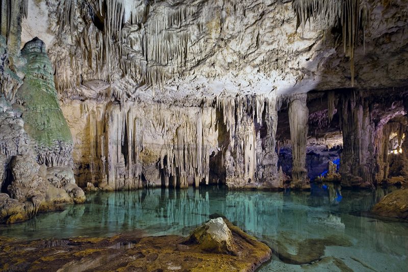 Grotte di Nettuno SardegnaNature Grotte di Nettuno SardegnaNature
