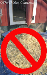 litter deep method chicken coop coops waste management chickens chick regularly clean don using poultry backyard farm plans