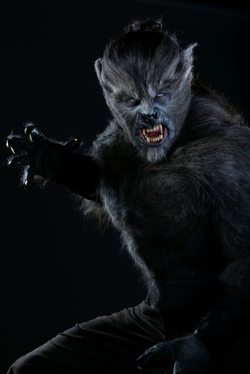 Película “Wolves” con Lucas Till y Merritt Patterson Más Telenovelas