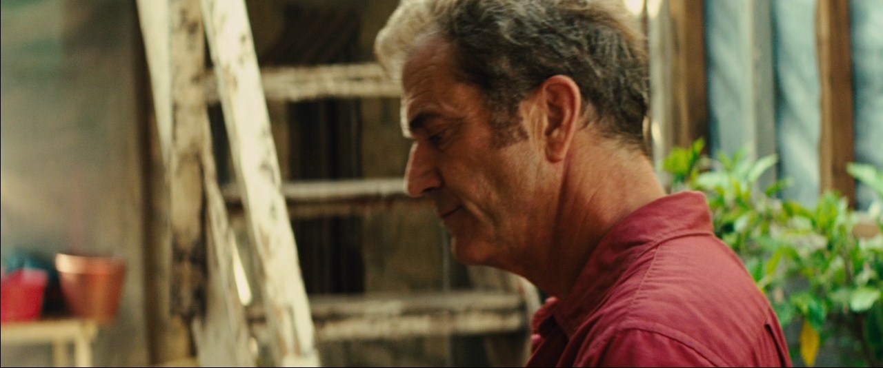 Get.the.Gringo.2012.720p_LUISFULL_2.jpg