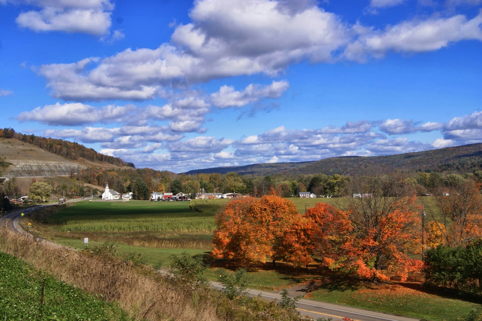 A Great Day in the Town of Lindley,N.Y.