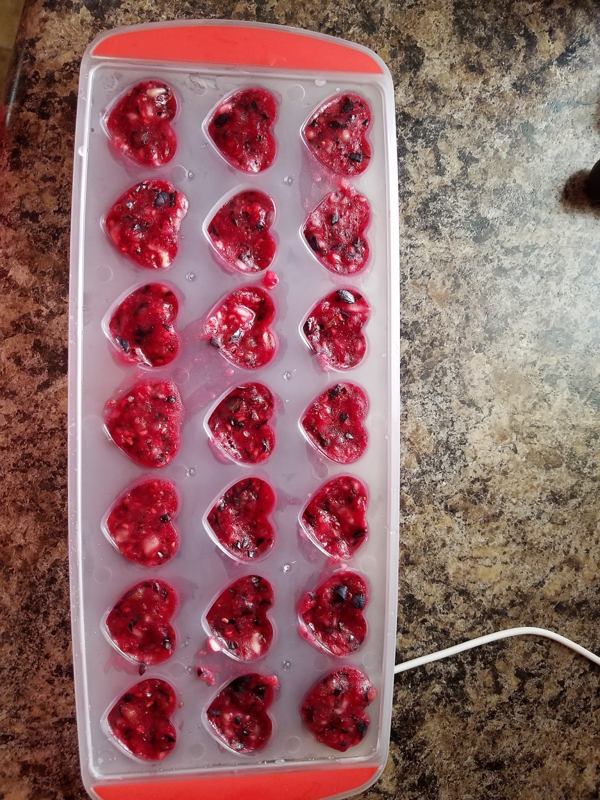 The Suggie Life Sugar Glider Recipes