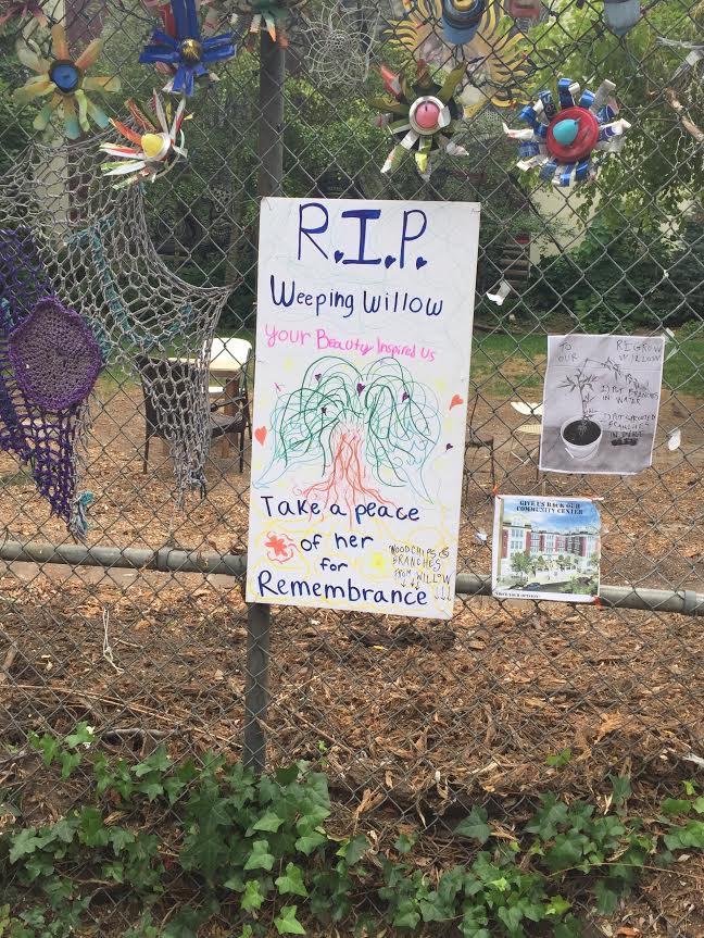 EV Grieve: Willow tree post mortem at La Plaza