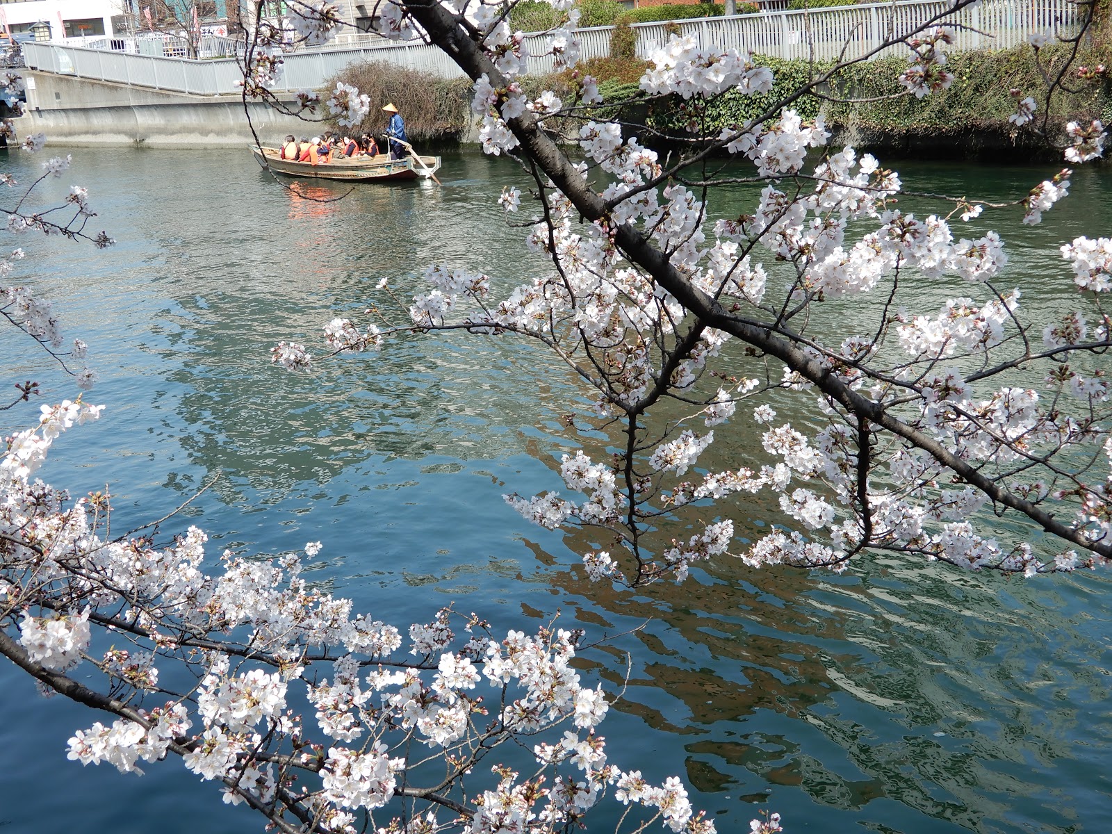 井田博重ブログ 東京は 水の都 水辺と桜並木が良く似合う