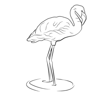 Mewarnai Gambar Mewarnai Gambar Burung Flamingo