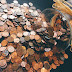 Os Perigos da Excessiva Diversificação de Investimentos