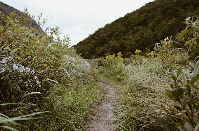 Hiking Trail | Photo by Kelly Sikkema via Unsplash