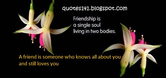 Quotes For EveryOne: Friendship Quotes images