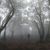 Pendakian Ke Gunung Manglayang, Mendapati Kabut Misterius