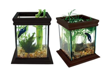 Model Aquarium Toples Unik Harga Murah Aneka Budidaya