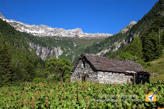 Cascina nel tratto iniziale della mulattiera verso alpe Porcaresc Cascina nel tratto iniziale della mulattiera verso alpe Porcaresc
