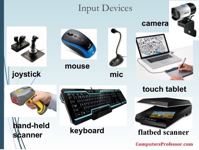 assignment on input devices