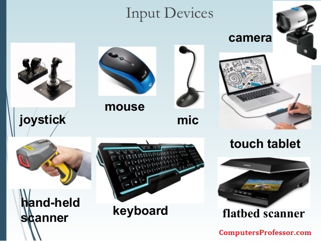 input devices of computer essay