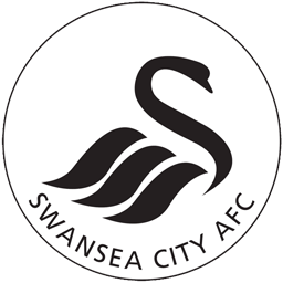 Kits Swansea 2019 DLS 2019 & FTS