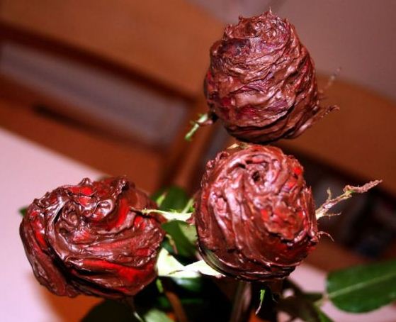 Παράξενες σοκολατένιες λιχουδιές!