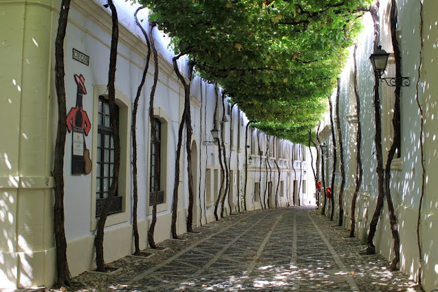 Calle Ciegos Jerez de la Frontera Cádiz Espanha 12 Ruas mais floridas do mundo