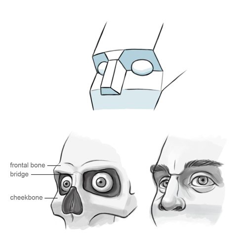 How To Draw Eye Sockets