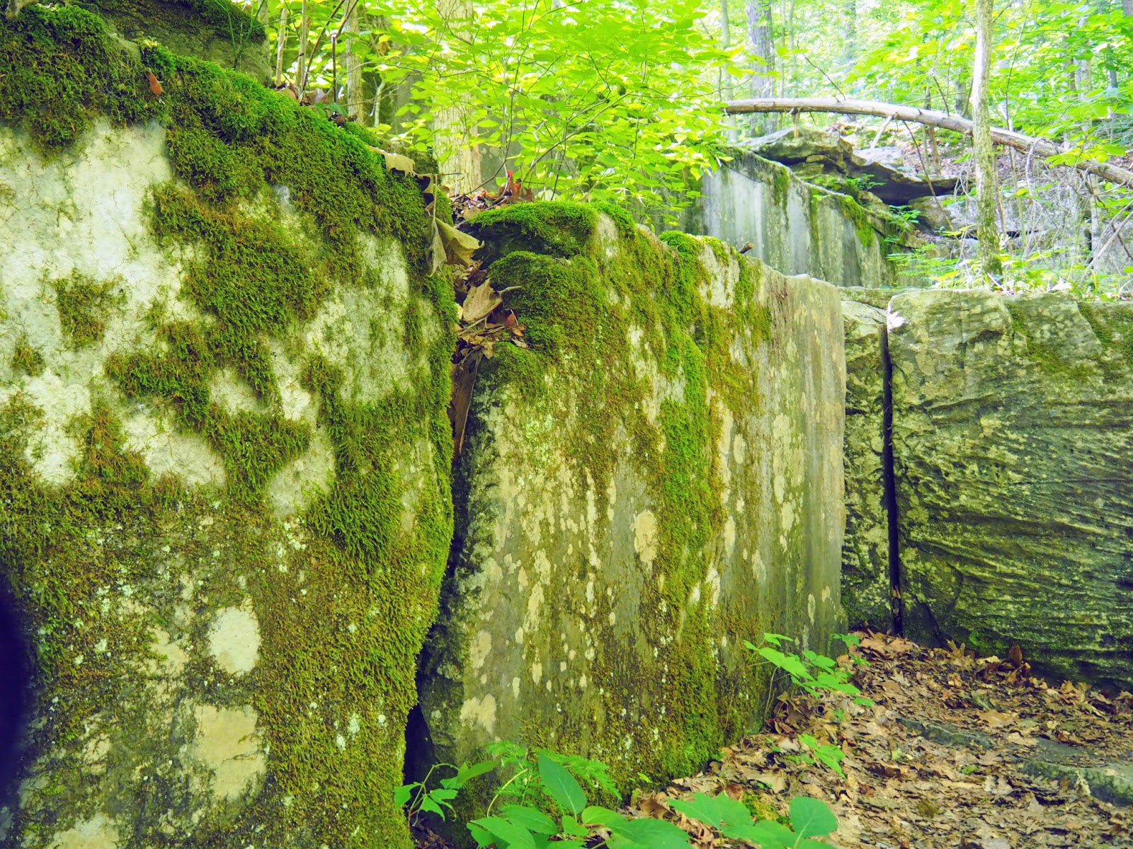 Spencer, IN McCormick's Creek State Park, Old State House Quarry