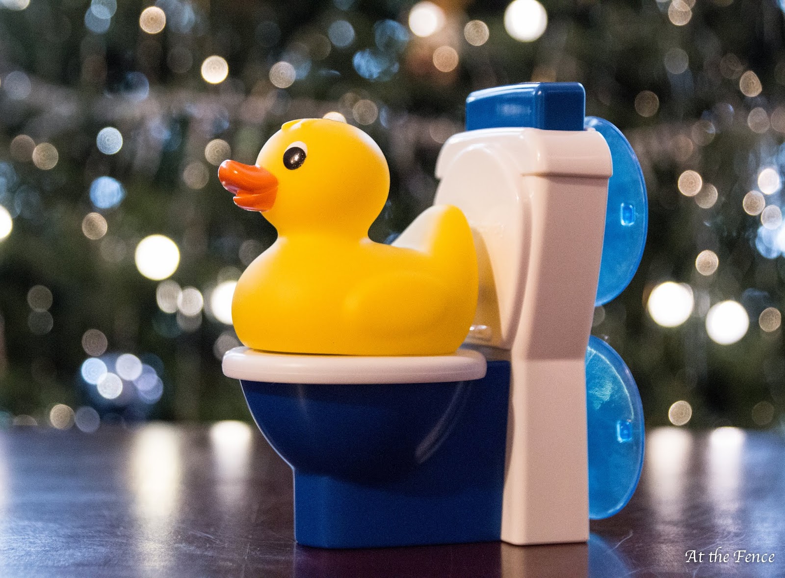 Potty Duck for Potty Training