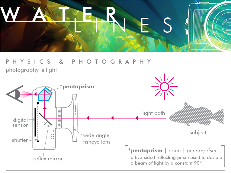 Bows & Arrows Underwater Image Making