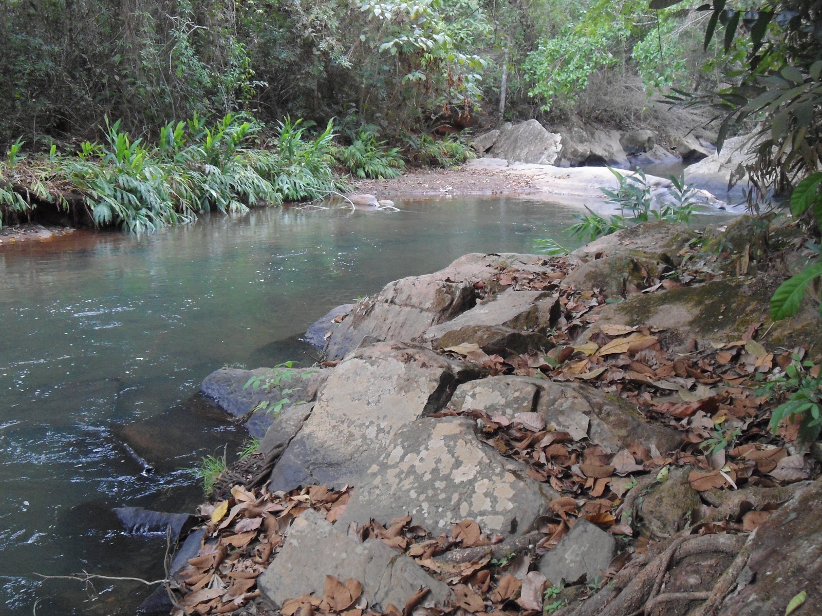 Santa Maria de Itabira em FOCO