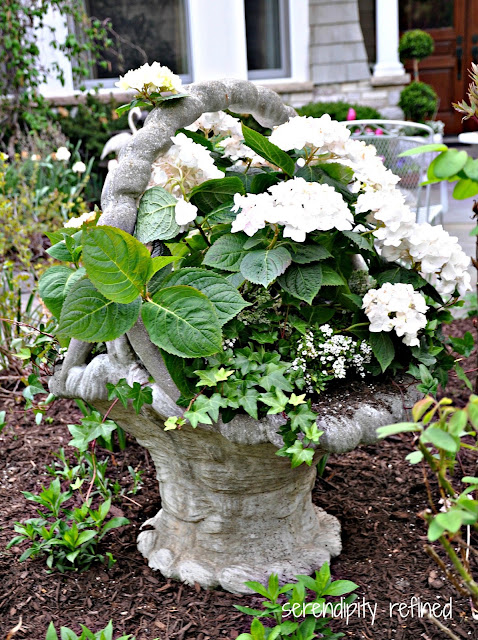 Summer Urn Planter Container Garden Hydrangea Lavender Rose Ivy Grey White Green Pink Purple