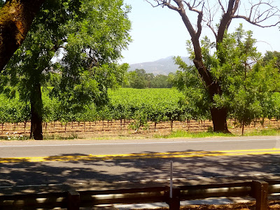 Napa Valley Wine Train