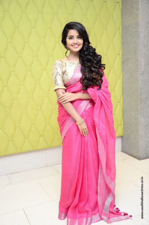 Anupama Parameswaran at Vunnadi Okate Zindagi Movie Thanks Meet