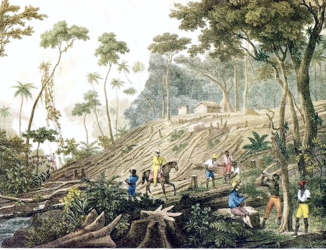 Pintura do século XIX, sobre a abertura do Caminho Novo