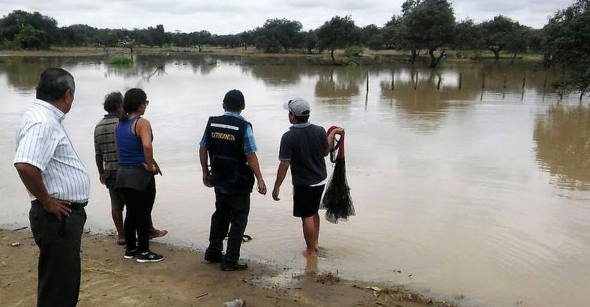 Impulsan proyecto de tilapias para alimentar a los escolares del colegio N°10928 Corazón de Jesús en Olmos - Chiclayo Impulsan proyecto de tilapias para alimentar a los escolares del colegio N°10928 Corazón de Jesús en Olmos - Chiclayo